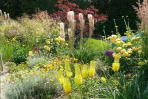 massif plantes vivaces