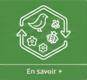 Formations Cleome Gestion ecologique
