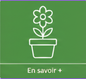 Formations CleOme sur fleurissement